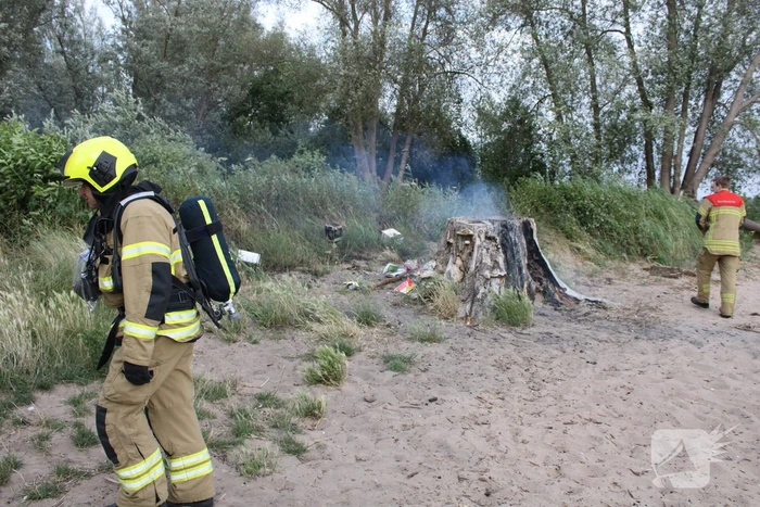 Smeulbrand in grote stronk van boom