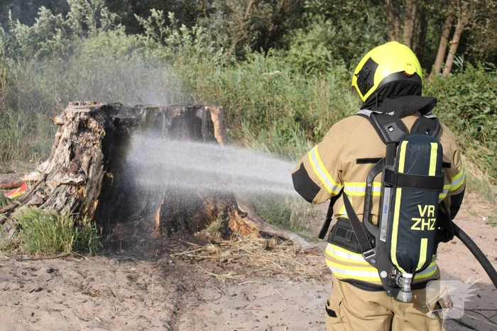 Smeulbrand in grote stronk van boom