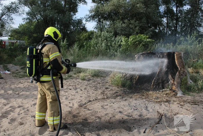 Smeulbrand in grote stronk van boom