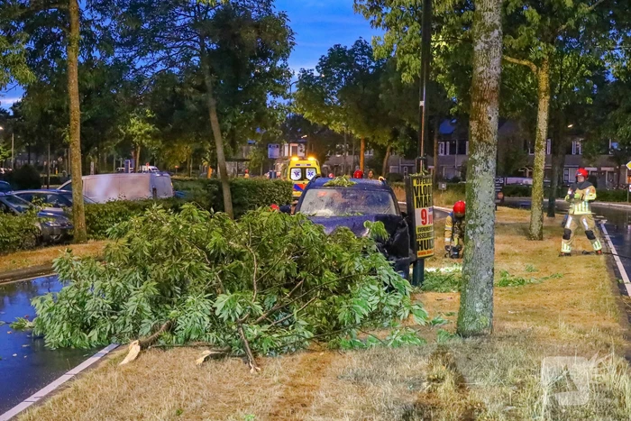 LPG-tank auto lek na botsing met boom