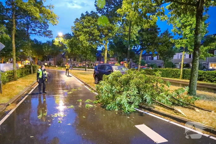 LPG-tank auto lek na botsing met boom