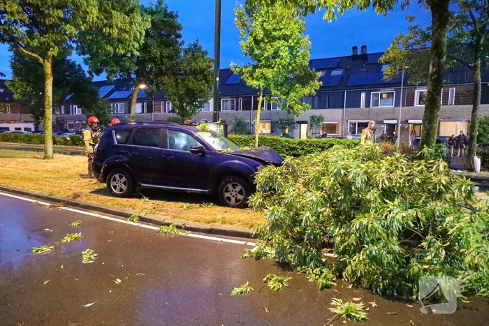 LPG-tank auto lek na botsing met boom