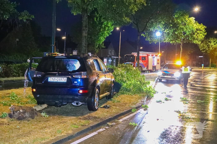LPG-tank auto lek na botsing met boom