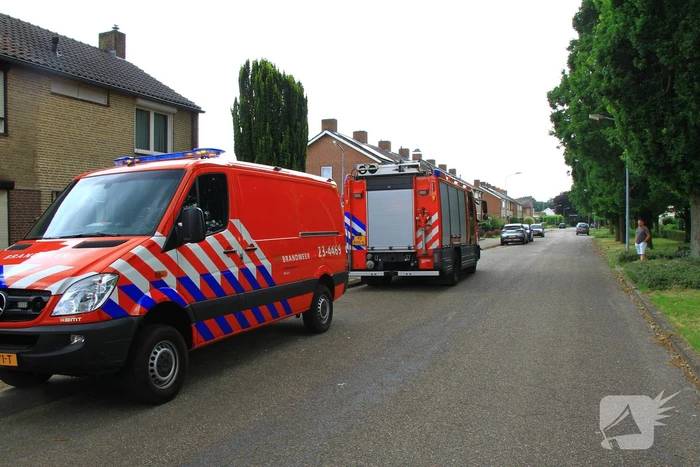 Kat mogelijk vast in schoorsteen van woning