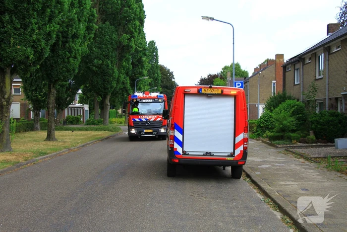 Kat mogelijk vast in schoorsteen van woning