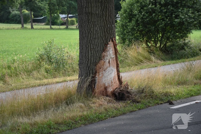 Auto crasht tegen boom, bestuurder gewond