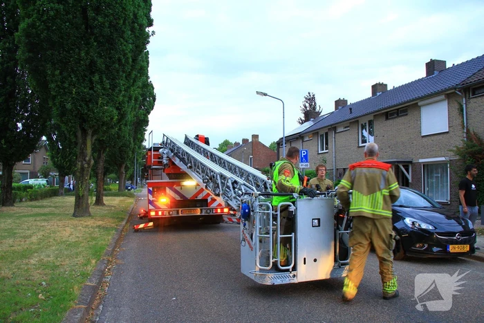 Brandweer redt voor derde keer kat van dak