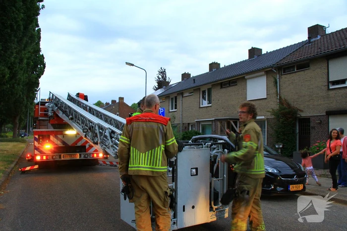 Brandweer redt voor derde keer kat van dak