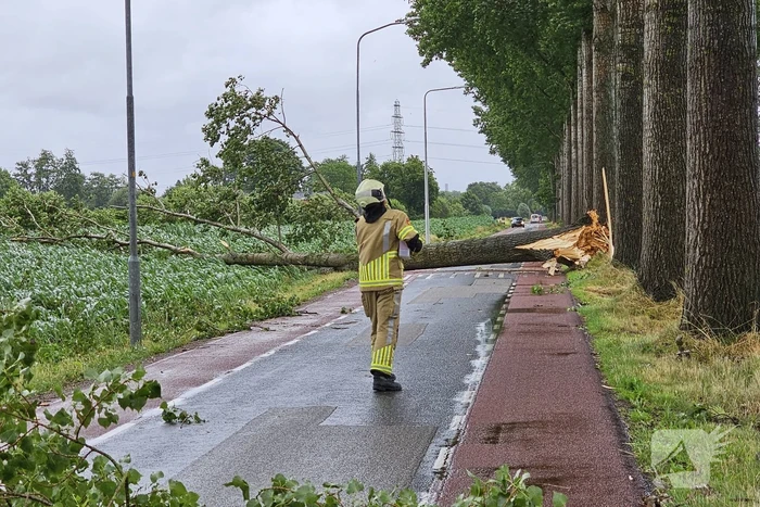 natuur maanderdijk ede