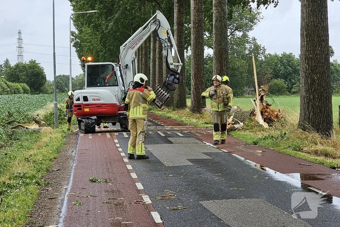 Enorme omgewaaide boom verspert de weg