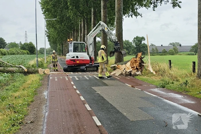 Enorme omgewaaide boom verspert de weg
