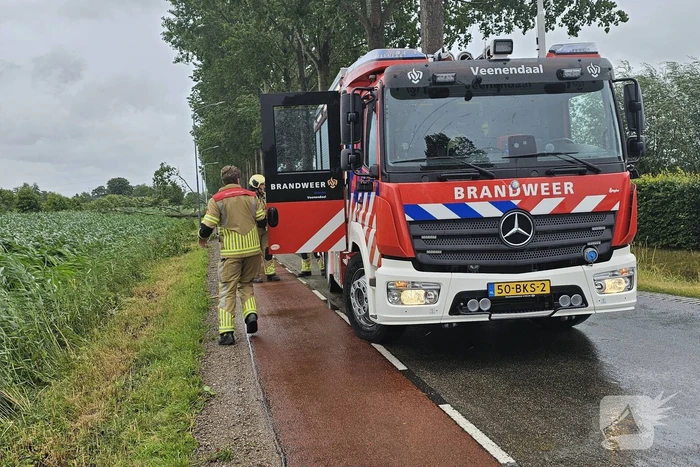 Enorme omgewaaide boom verspert de weg