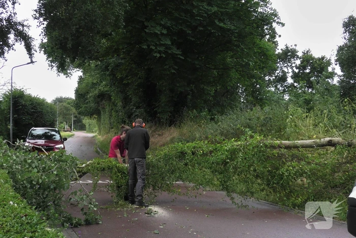 natuur dijkstelweg ouddorp