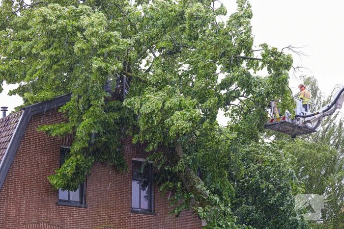 Flinke boom omgewaaid tegen woning
