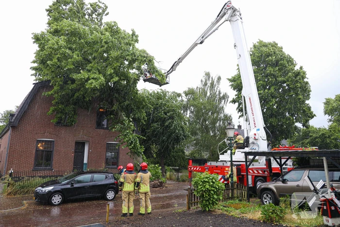 Flinke boom omgewaaid tegen woning