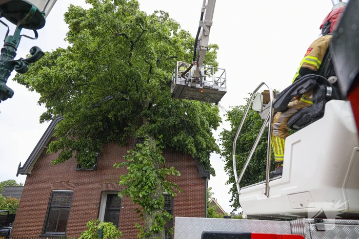 Flinke boom omgewaaid tegen woning