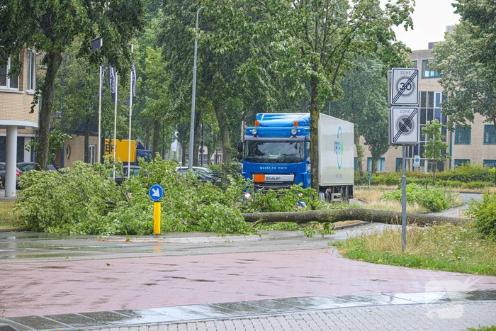 natuur huizermaatweg huizen