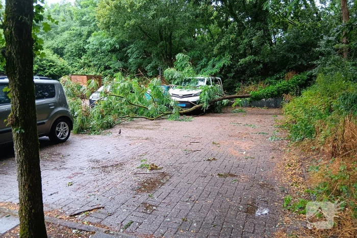 natuur van speykstraat ede