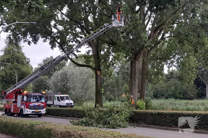 Brandweer verwijdert loshangende takken boven wegdek