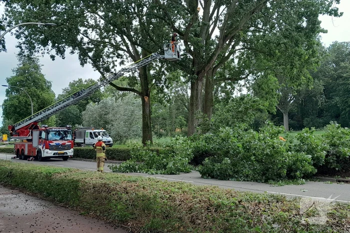 Brandweer verwijdert loshangende takken boven wegdek