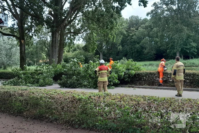 Brandweer verwijdert loshangende takken boven wegdek
