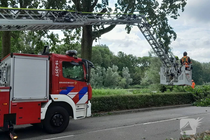 Brandweer verwijdert loshangende takken boven wegdek