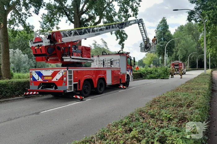 Brandweer verwijdert loshangende takken boven wegdek