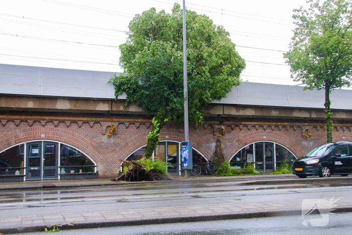 natuur tussen de bogen amsterdam