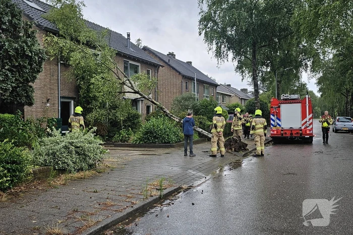 natuur irenelaan ede