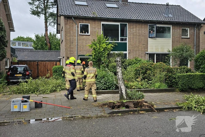 Boom valt tegen woning aan door storm