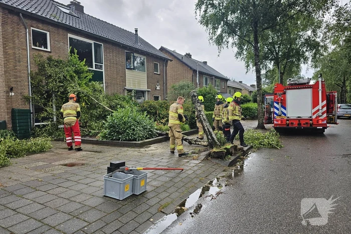 Boom valt tegen woning aan door storm