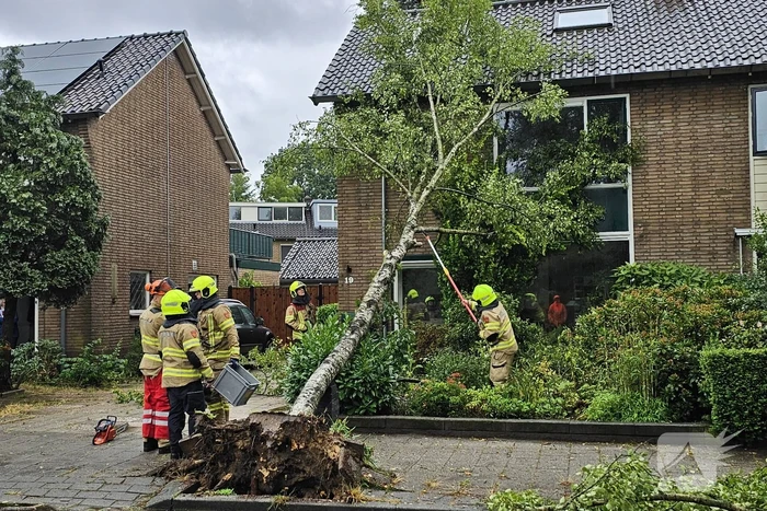Boom valt tegen woning aan door storm