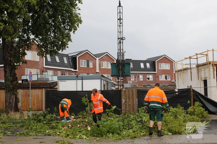 natuur kalimantanstraat enschede