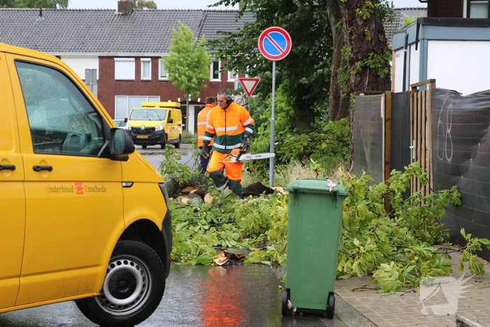 Enorme tak van boom gewaaid