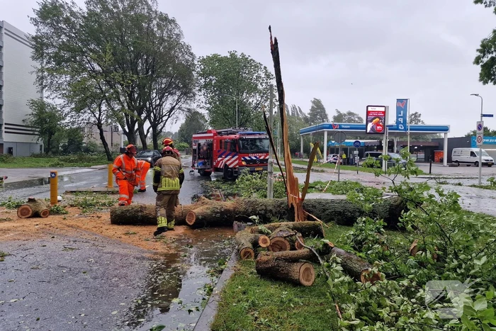 Meerdere bomen omgewaaid door storm