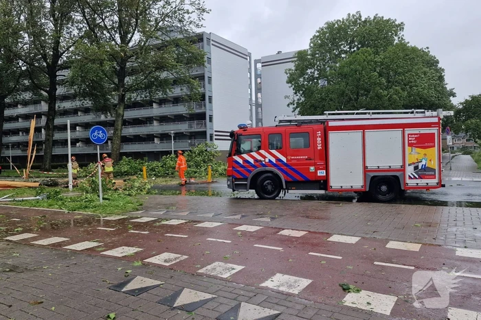 Meerdere bomen omgewaaid door storm