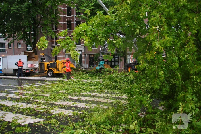 Enorme boom omgewaaid door storm
