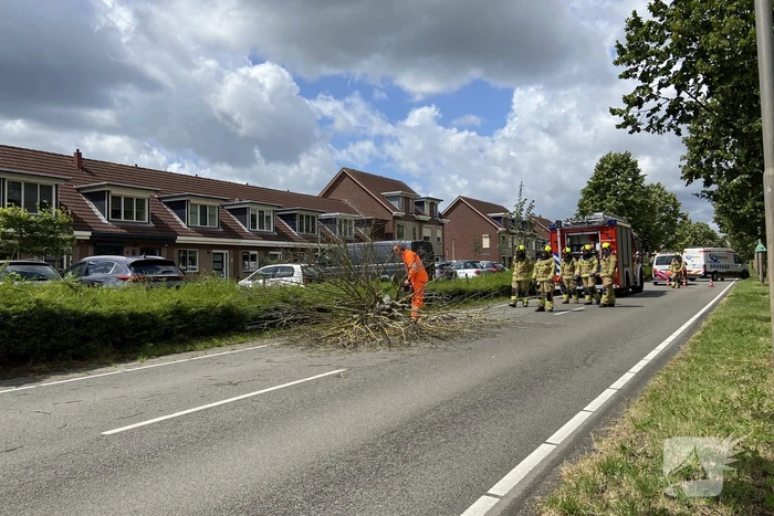 natuur antoniuslaan hendrik-ido-ambacht