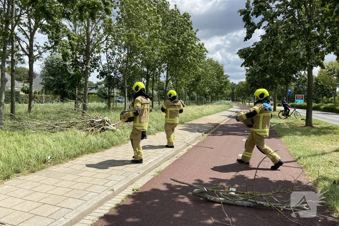 Boom omgewaaid op wegdek