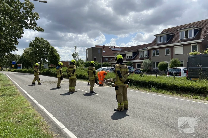 Boom omgewaaid op wegdek