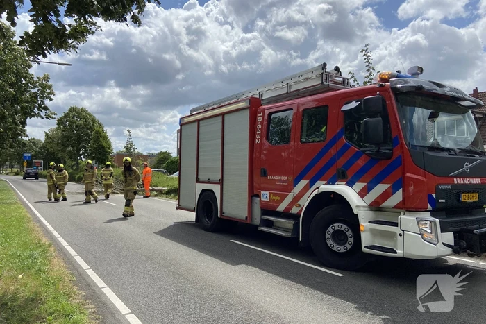 Boom omgewaaid op wegdek