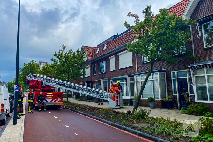 Boom valt om tegen woning door zomerstorm