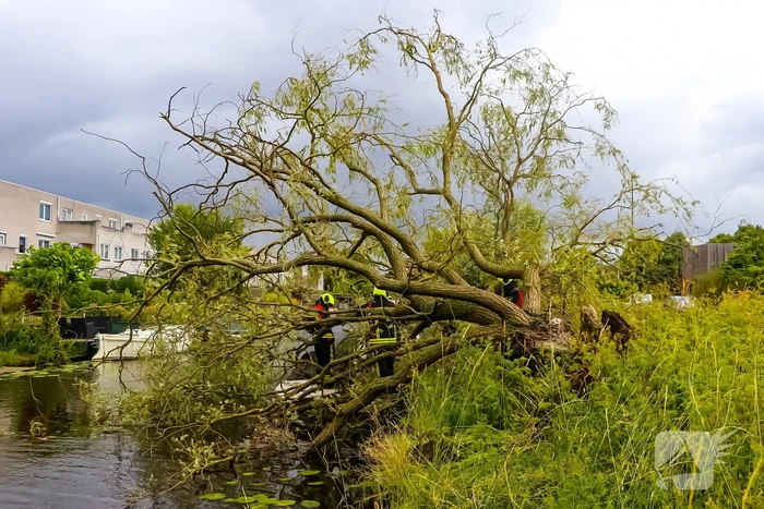 natuur dobbedreef leiden