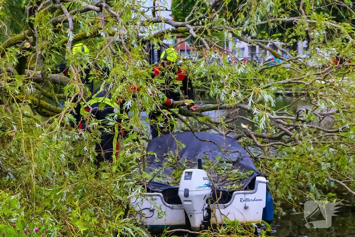 Grote boom valt om en komt terecht op boot