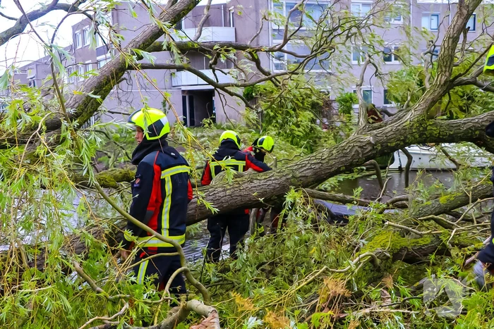 Grote boom valt om en komt terecht op boot