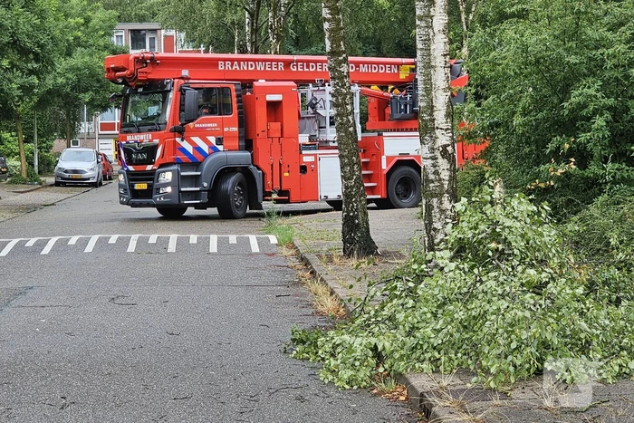 Loshangende tak door storm verwijderd