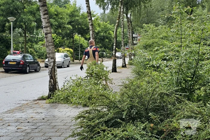 Loshangende tak door storm verwijderd