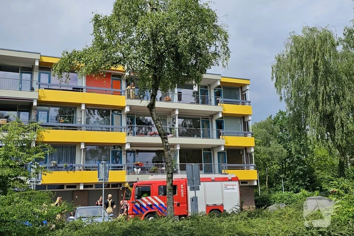Loshangende tak door storm verwijderd
