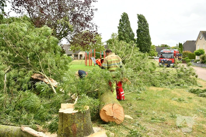 Brandweer zaagt boom om na storm Poly