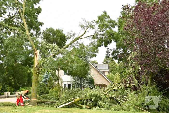 Brandweer zaagt boom om na storm Poly